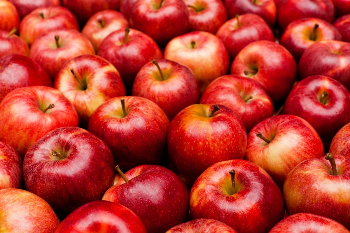 apples